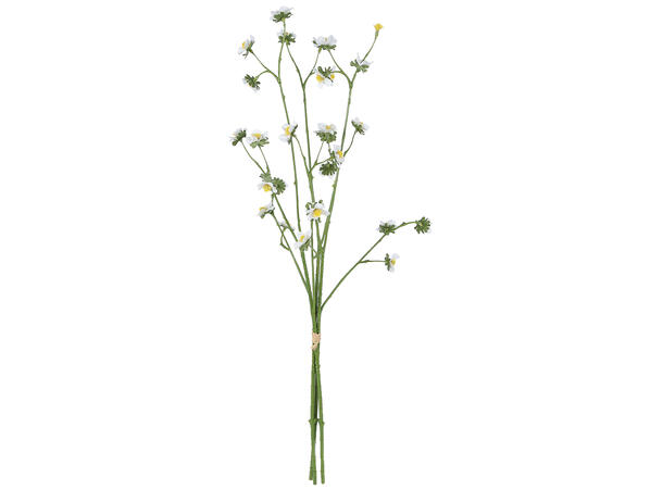 Kvist mini tusenfryd ass farge 55cm 3ass 