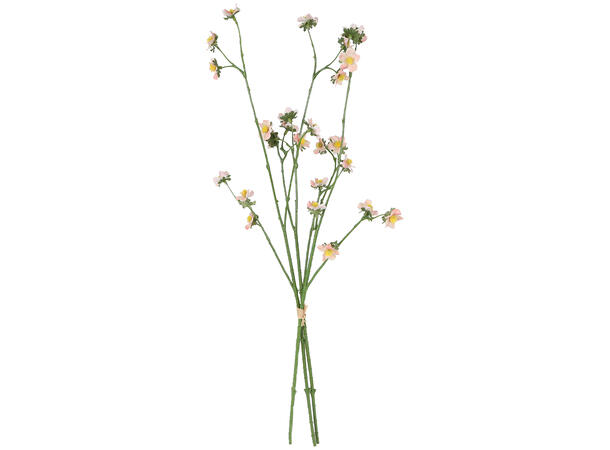 Kvist mini tusenfryd ass farge 55cm 3ass 