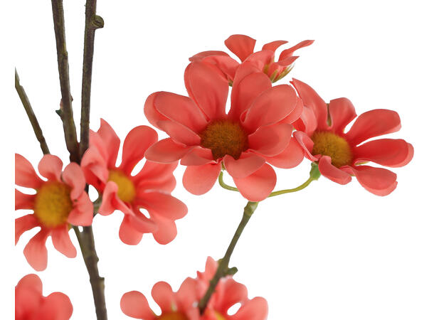 Kvist rød valmue 83cm 