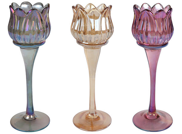 Lysestake glasstulipan m/stett 7x22 3ass Til telys 