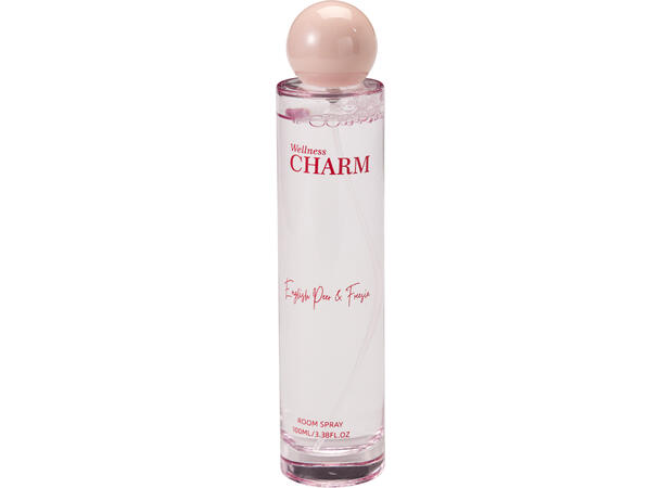 Romspray 100ml 3ass Duftspray 