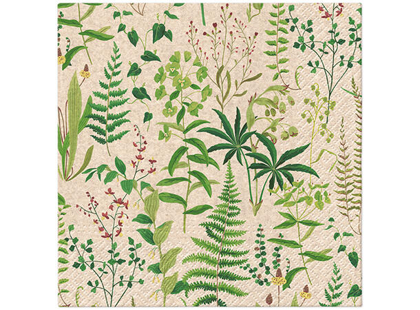 Serviett Herbal Garden Økologisk Lunsjserviett 20 stk 3-lags 33x33cm 