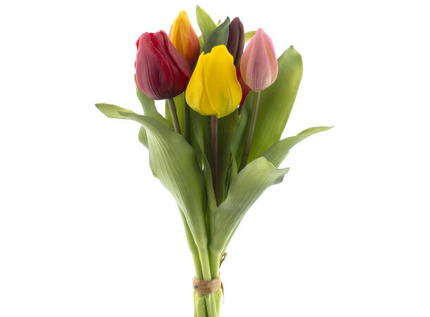 Tulipan bukett 31cm 
