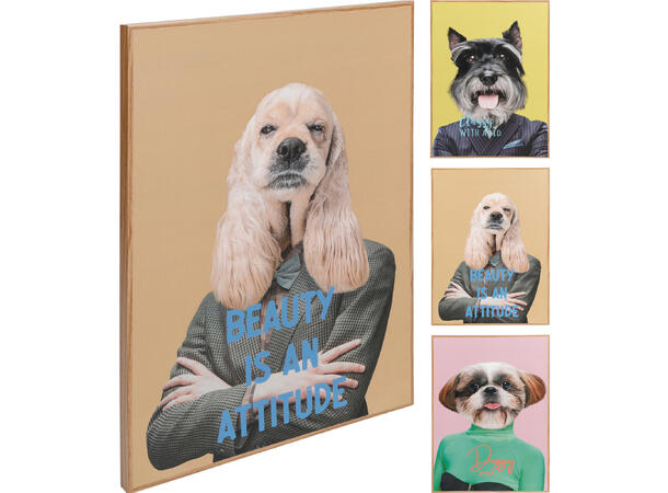 Bilde hund m/klær MDF 28x38cm 3ass 