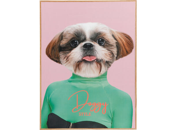 Bilde hund m/klær MDF 28x38cm 3ass 