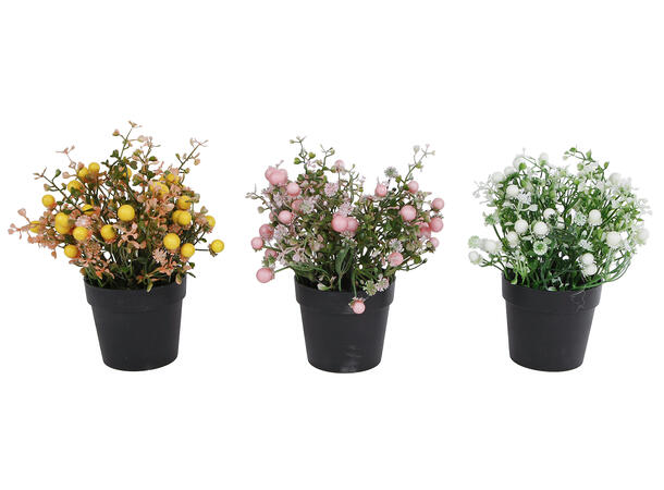 Blomst i potte hvit,rosa,gul 22x9cm 3ass Forpakning 12stk 
