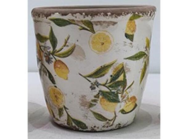 Blomsterpotte m/sitron keramikk 15x13cm 