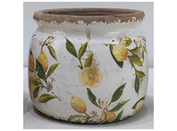 Blomsterpotte m/sitron keramikk 16x13cm 