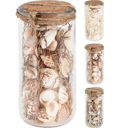 Dekor skjell krukke m/kork 6x14cm 3ass Forpk 12stk