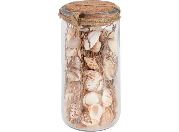 Dekor skjell krukke m/kork 6x14cm 3ass Forpakn.12stk 