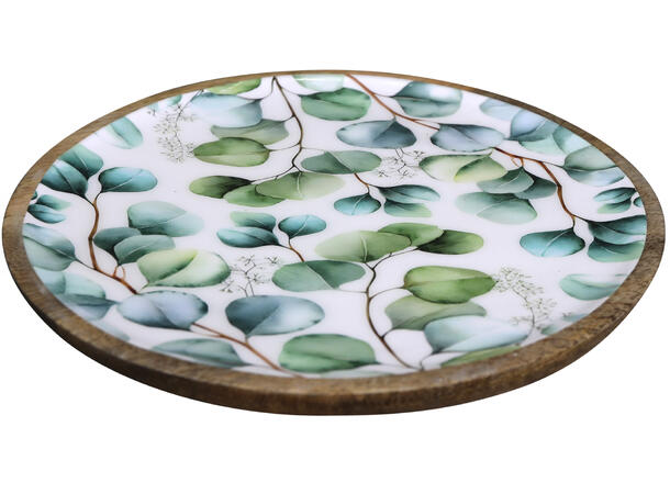 Fat eukalyptus dekor mangotre 25x1,5cm 