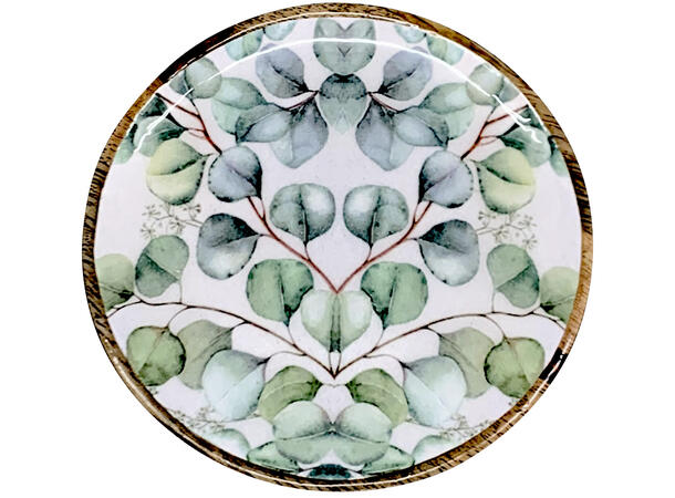 Fat eukalyptus dekor mangotre 25x1,5cm 