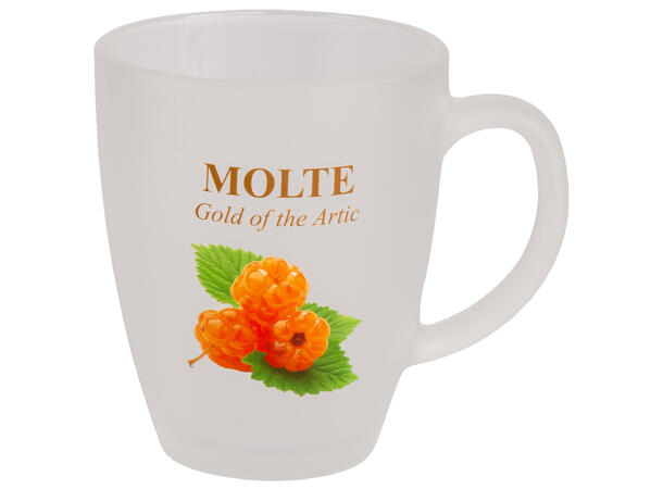 Krus frostet glass m/coaster Molte 10cm 12x9x10cm. Glassbrikke i bambustre 