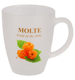 Krus frostet glass m/coaster Molte 10cm 12x9x10cm. Glassbrikke i bambustre