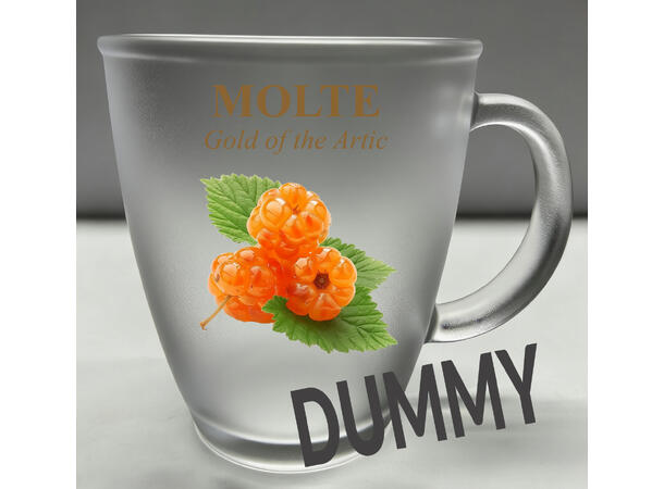 Krus frostet glass m/coaster Molte 10cm 12x9x10cm. Glassbrikke i bambustre 