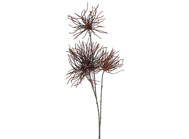 Kvist brun 94cm 