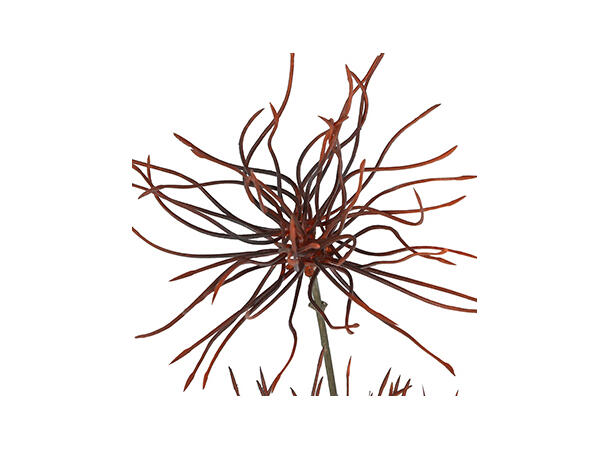 Kvist brun 94cm 