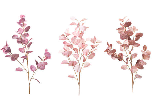 Kvist eukalyptus 95cm 3ass Forpk 24stk Lilla/rosa/brun 