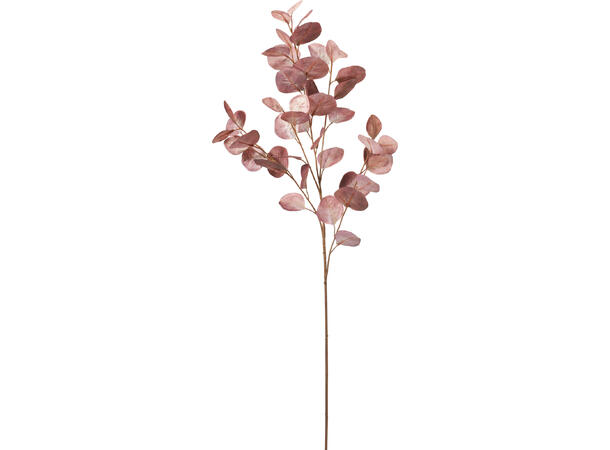 Kvist eukalyptus 95cm 3ass Lilla/rosa/brun 