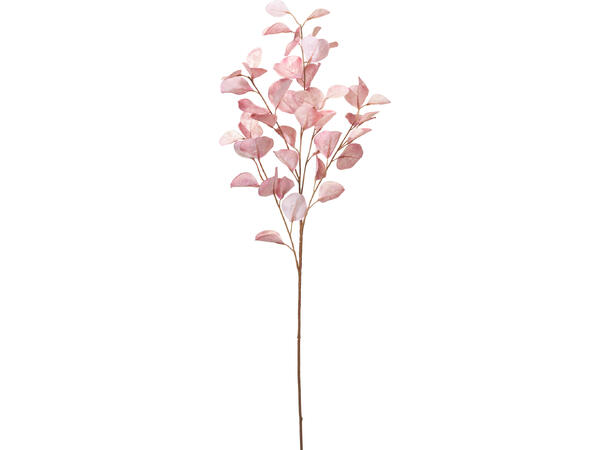 Kvist eukalyptus 95cm 3ass Lilla/rosa/brun 