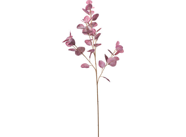 Kvist eukalyptus 95cm 3ass Lilla/rosa/brun 