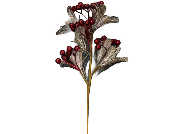 Kvist med røde bær 36x12x7cm 