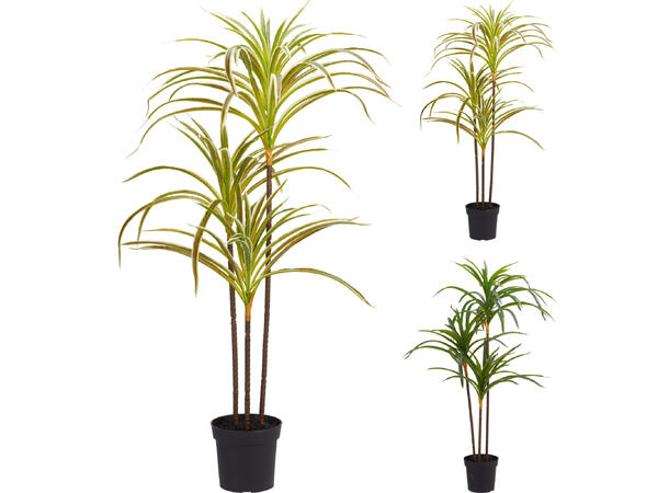 Plante i svart potte 40x84cm 2ass 