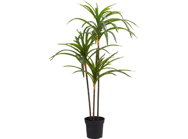 Plante i svart potte 40x84cm 2ass 