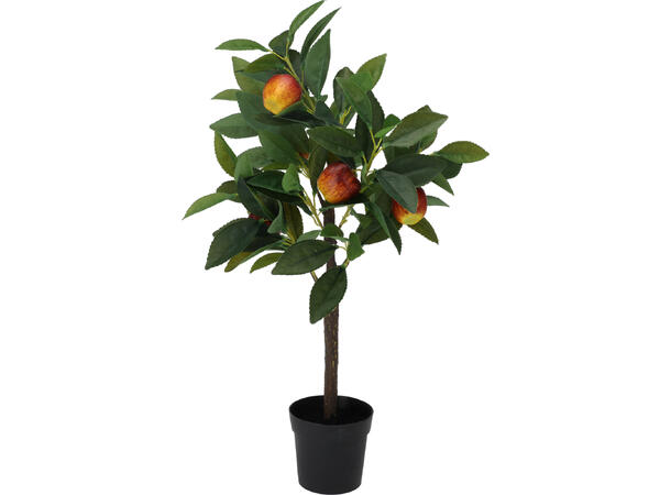 Plante sitron/appelsin/eple potte 3ass 60cm 