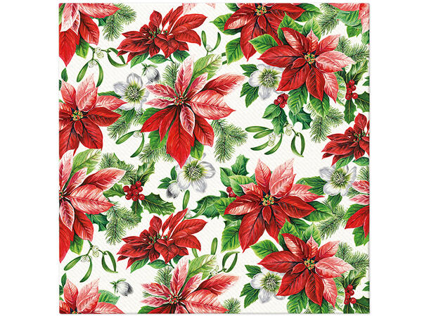 Serviett Airlaid middag Glory Poinsettia Middagsserviett 12 stk 3-lags 40x40cm 