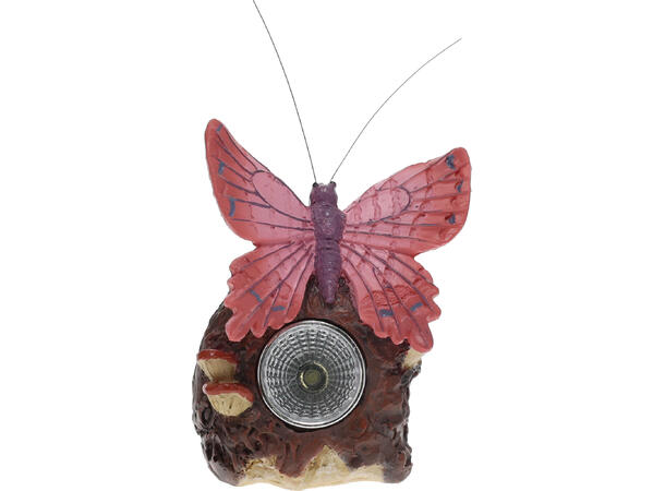 Sommerfugl m/stein Solar 9,5x7x11cm 4ass Display med 12stk 