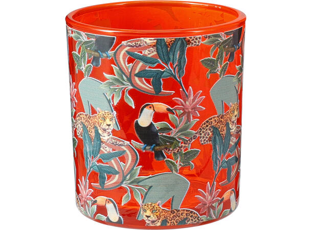 Telysglass jungel 7x7x7,8 cm 4ass Forpakn.36stk 