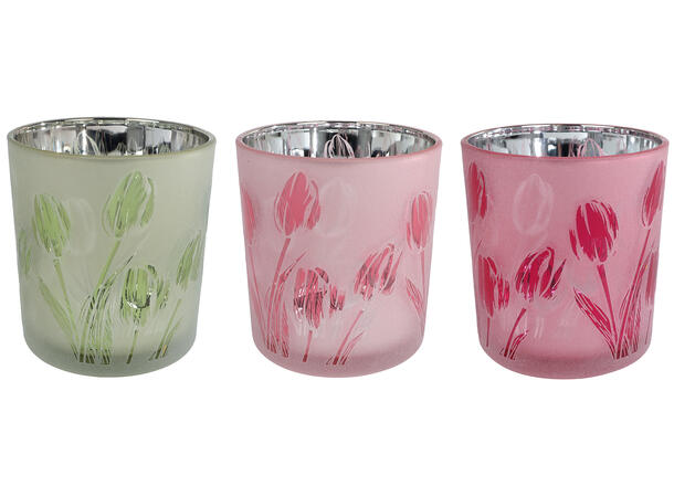 Telysglass med tulipan d:7,5x8cm 3ass Forpk 12stk 