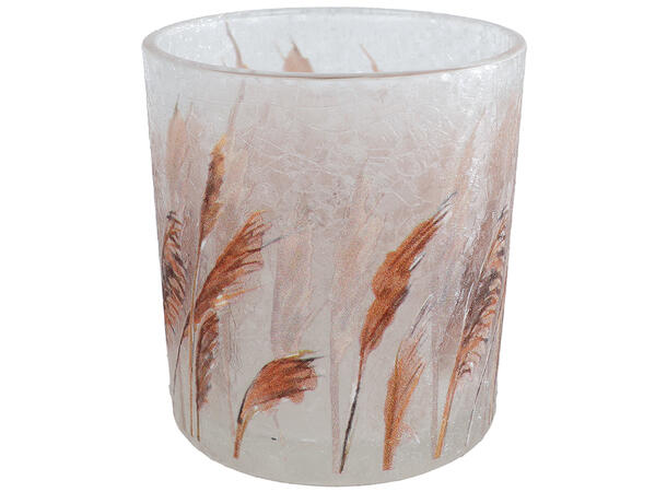 Telysholder glass m/strå 7,5x8cm Forpakn.12stk 