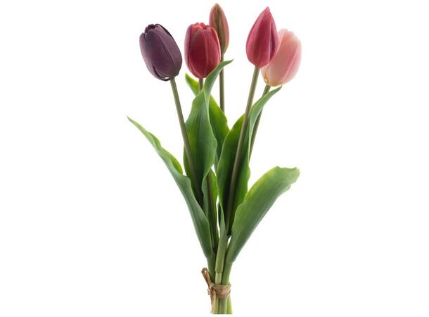 Tulipan bukett rød/rosa 36cm 