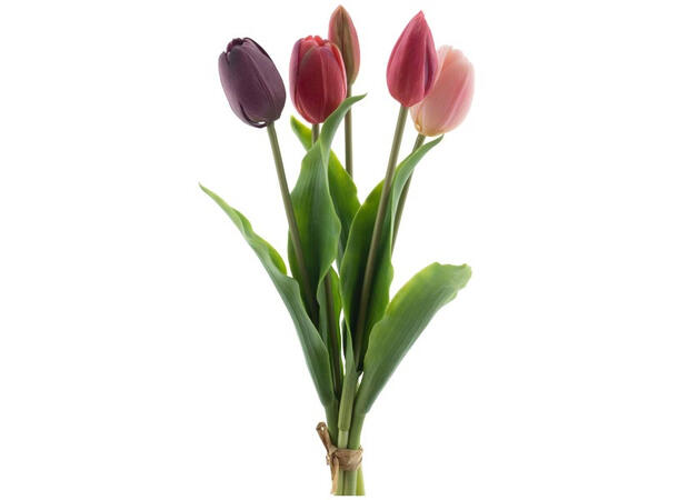 Tulipan bukett rød/rosa 36cm 