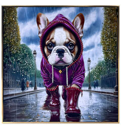 Bilde Lerretstrykk Hund i regn 60x60cm Shiny foliert fototrykk med gullramme