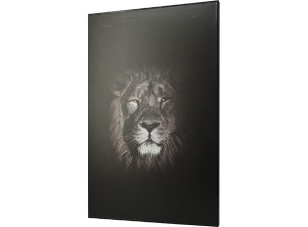 Bilde lerret 38x58cm sort/hvit dyr 3ass 