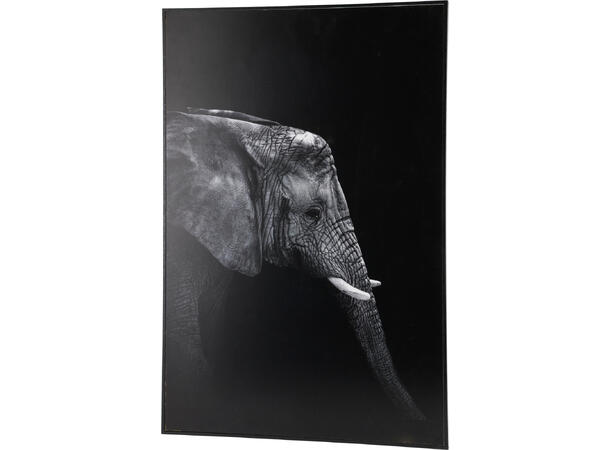 Bilde lerret 38x58cm sort/hvit dyr 3ass 