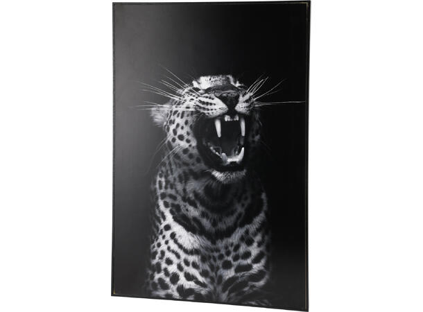 Bilde lerret 38x58cm sort/hvit dyr 3ass 