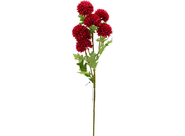 Krysantemum m/7 blomster 78cm 3ass 
