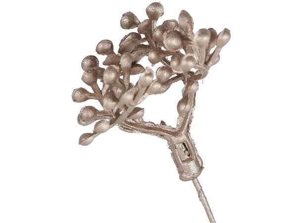 Kvist Aglaia champagne 80cm Forpk 12stk 