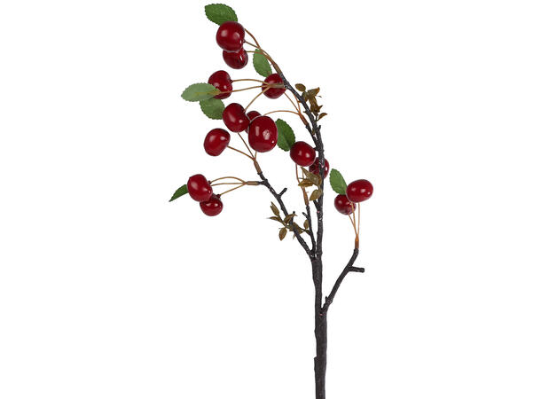 Kvist Aglaia champagne 80cm 