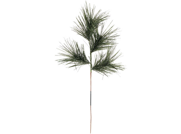 Kvist edelgran grønne 75cm 3ass 