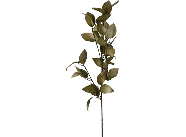 Kvist m/blader grønnfarger 87cm 3ass Forpkn 24stk 