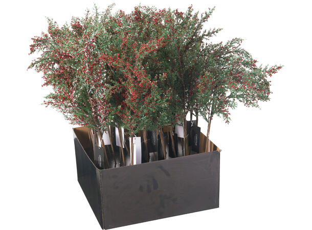 Kvist m/røde bær 62cm Display 36stk 