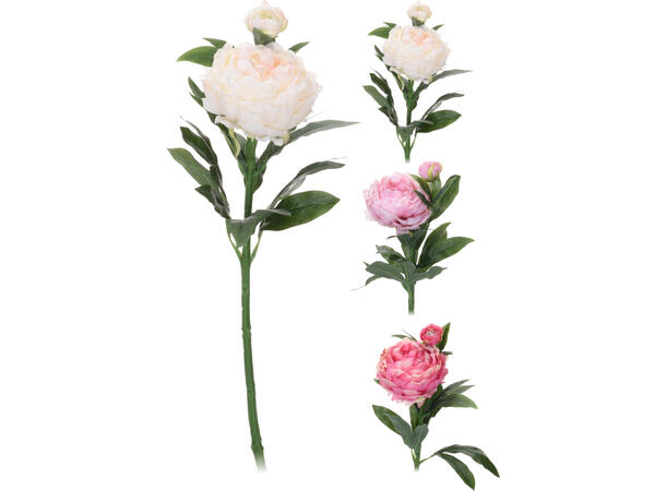 Kvist peon blomst 61cm 3ass Polyester og PE 