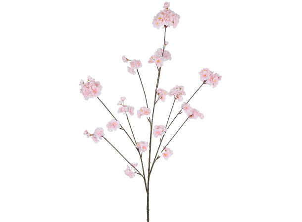 Kvist rosa kirsebærtre blomst 126cm 