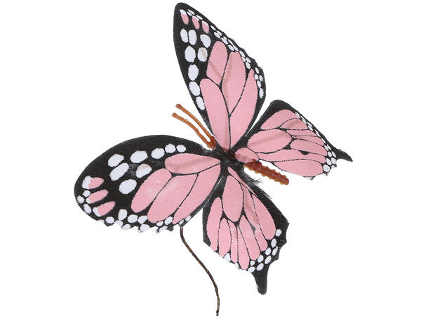 Kvist sommerfugl rosa/grønn 77cm 2ass 