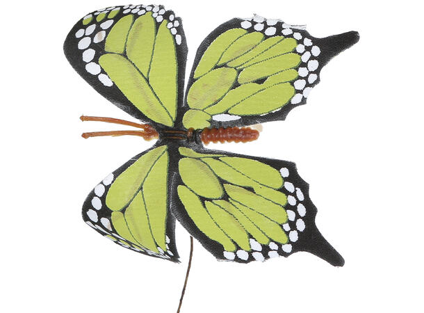 Kvist sommerfugl rosa/grønn 77cm 2ass 